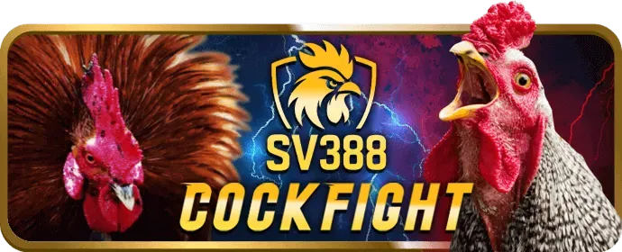Hướng dẫn đăng ký tài khoản ku11bet chính thức